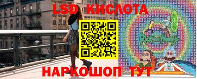 ГАЛЛЮЦИНОГЕННЫЕ ГРИБЫ Коммунар