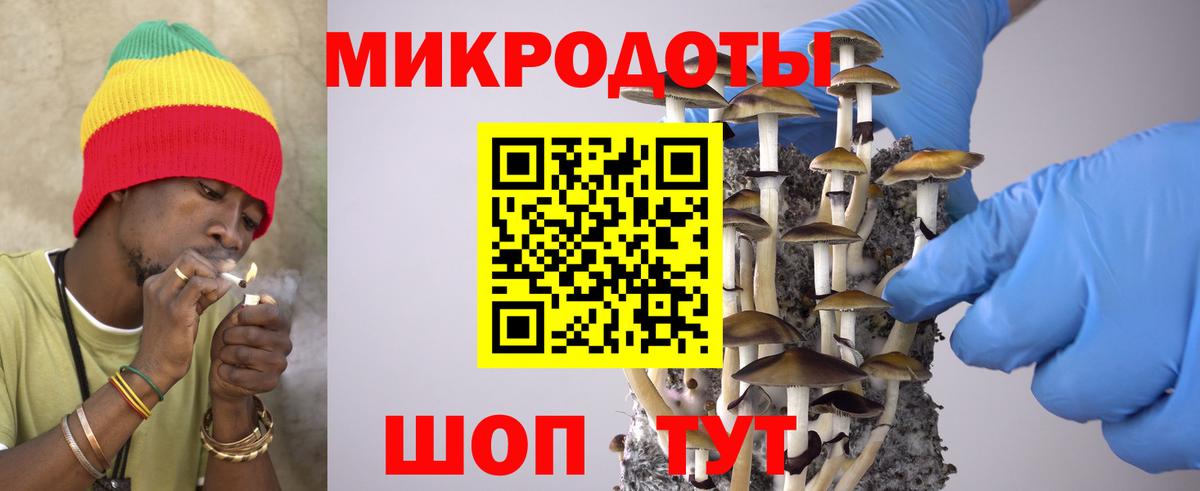 Псилоцибиновые грибы Psilocybine cubensis  Вход с VPN  Благовещенск 