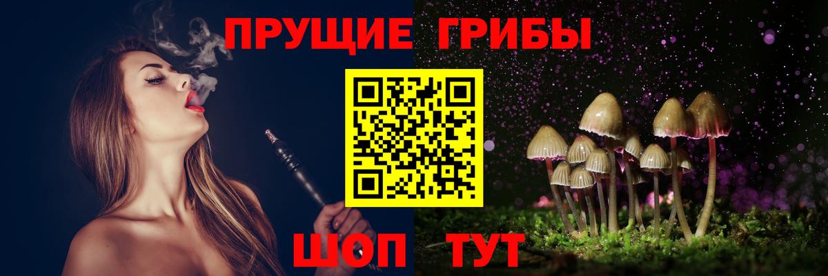 Псилоцибиновые грибы GOLDEN TEACHER Благовещенск