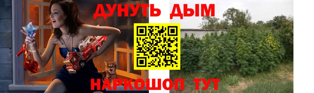 Канабис план  Каннабис Amnesia  Бошки Шишки VHQ  Благовещенск  Вход с VPN 